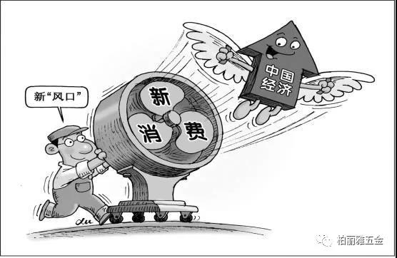 中產(chǎn)階層帶動新消費崛起，柏麗雅家居五金【定制】順時代而創(chuàng)新